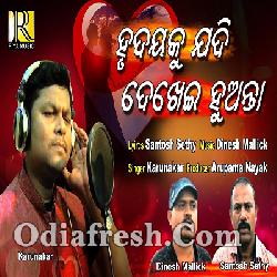 Hrudayaku Jadi - New Odia Sad Song By Karunakar